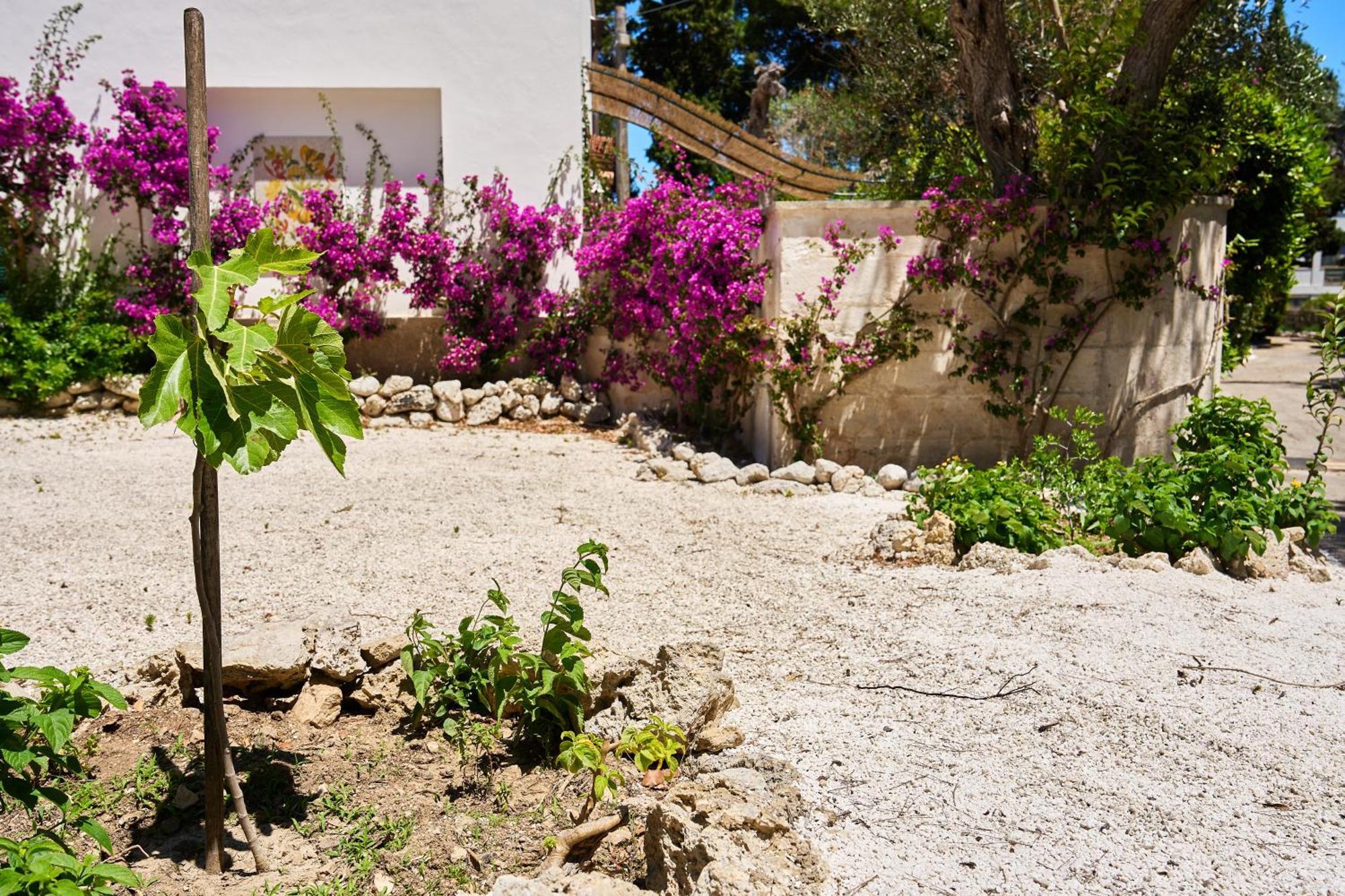 Tenuta Belvedere Otranto Exterior foto