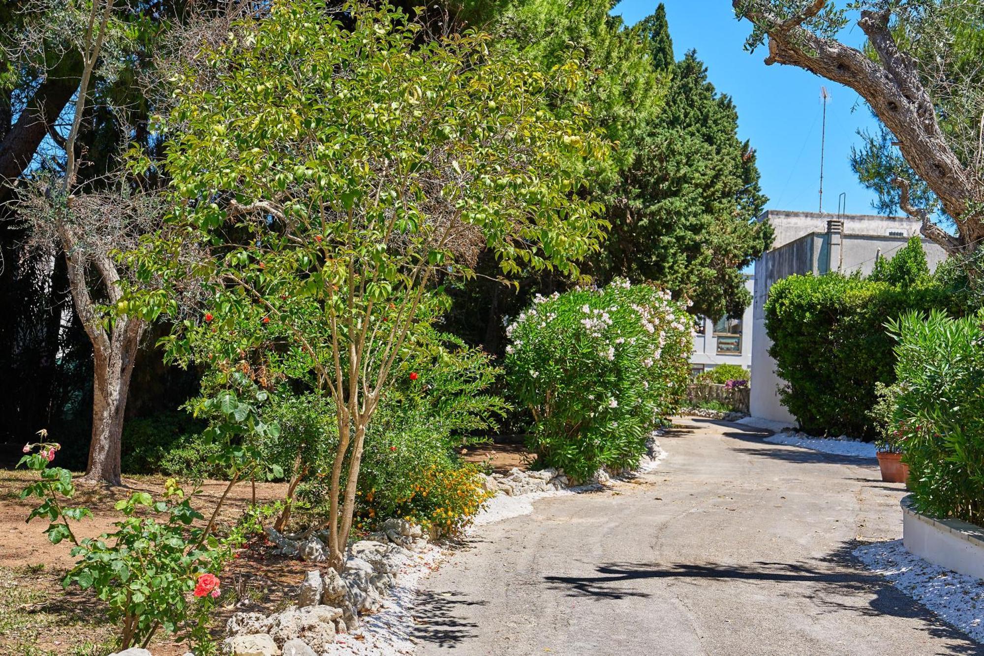 Tenuta Belvedere Otranto Exterior foto